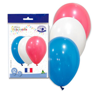 B/ 12 GL. BANDERA FRANCIA Ref.5119